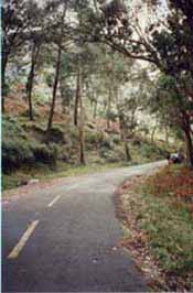 Road near the clif
